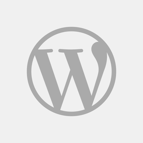 WordPress Lösungen für Ihr Blog oder Ihre Webseite